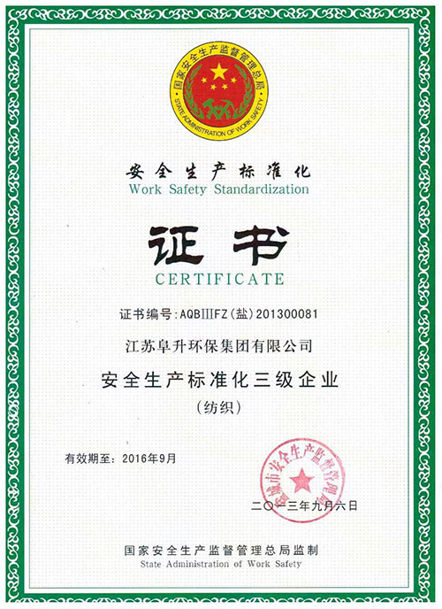 阜升安全生产证